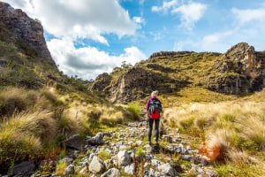 Lessons learnt from the Australian Alps Walking Track
