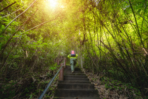 Could you walk up 2800 stairs?!