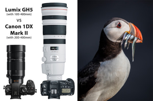 Opinion: Why mirrorless is more and DSLR’s are dead