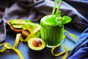 2. The Plant Kingdom