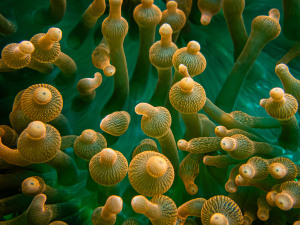 Your Best Shot: April 2026 - Abstract - The winners!