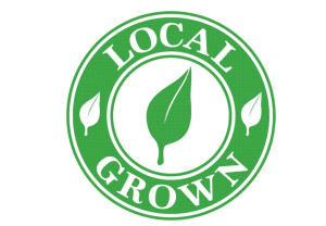 6. Small Player Mindset