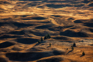 Photographer of the Year: Featured portfolio of the week #1