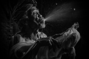 Photographer of the Year: Featured portfolio of the week #3