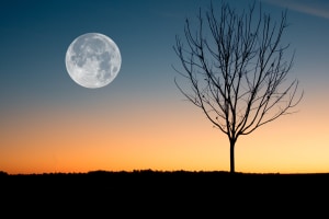 How to capture tonight's supermoon