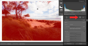Lightroom how to: Apply a localised Tone Curve