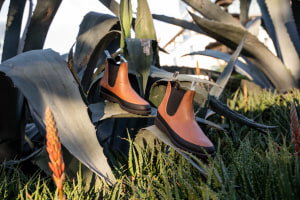 Rollie Nation launches cactus vegan leather range