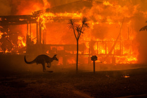 The story behind this iconic Australian bushfire photo