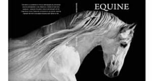 Fuji Xerox releases White Dry Ink for the iGen