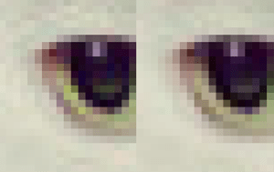 Google's new JPEG encoder: Smaller files, better quality?