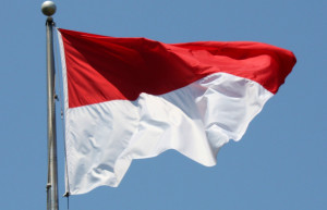 Air Force extends ties with Indonesia