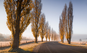 AP's free monthly photo comp August '25 - 'Seasons' The winners!