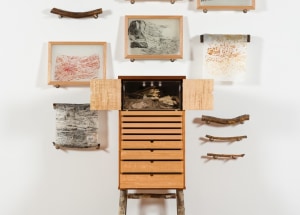 Exhibition features the living world of East Arnhem Land