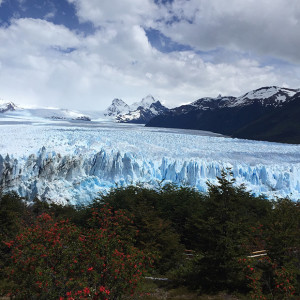 Aussie Amateur Joins iPhone 6 World Gallery