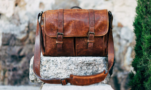 PETA urges fashion industry to abandon leather 