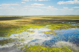 NT's Litchfield National Park to increase by 20%