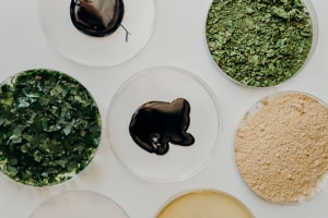 Jet Technologies brings algae-based ink to Australia
