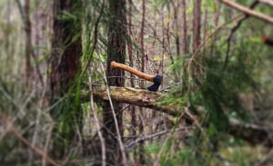 The Green Wood Guide