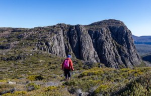 The UPs and DOWNs of hiking in Tassie
