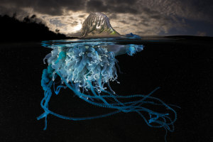 Going, going gone: your chance to bid on 15 awesome ocean prints for charity