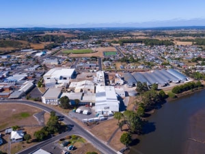 Smithton, McCain is here to stay 