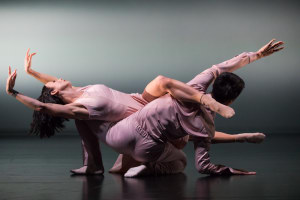 Expressions Dance Company/City Contemporary Dance Company (Hong Kong): 4Seasons 
