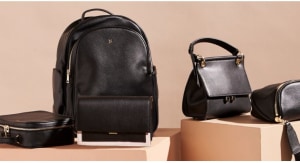 Mon Purse collapses, appoints liquidators from Wexted Advisors