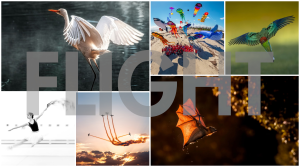 July monthly photo comp: the wrap-up!