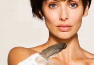 Fur claims dog retailers
