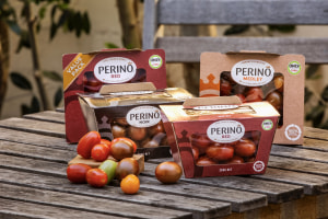 Costa, Coles, Opal trial cardboard tomato packs