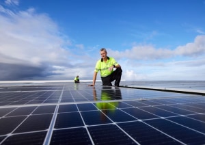 Woolworths achieves 100% renewable electricity milestone