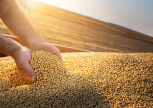 IFF secures ANZ heart health claim approval for soy protein