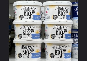 Little Big Dairy Co launches high-protein cottage cheese