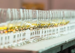 Winners of 2025 Royal Adelaide Wine Show crowned