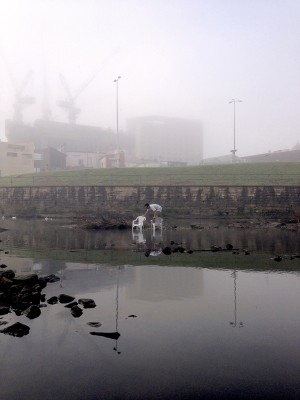 The death of a factory