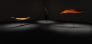 Fluidity of Form: an exhibition of work by Nick Randall