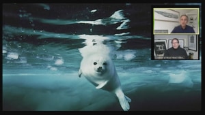 Nikon's new free creators hour programme features talks by Ami Vitale, Brian Skerry, Lynsey Addario and more