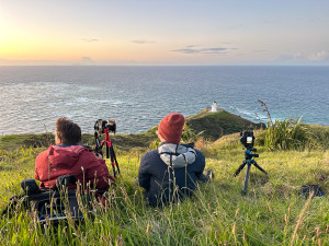Explore the Subtropical Splendour of New Zealand’s Northern Coast 13-19 November 2025
