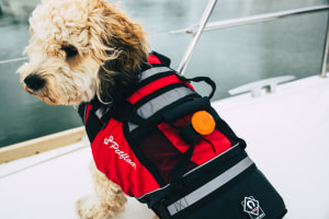 OLAS Core - a portable, virtual tether and MOB alarm system for big boat crews