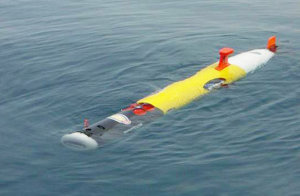BAE Systems' intriguing bid for Sea 1778