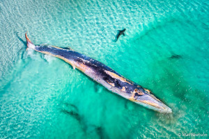 ANZANG Nature Photographer of the Year comp opens for entries