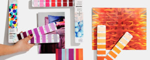 Which Pantone guide is right for you?