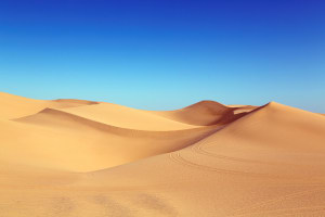 The British police's AI keeps confusing deserts with nude images (really)
