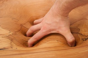 Phil Young &ndash; the dendrophile