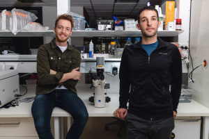 Cell-cultured kangaroo meat start-up granted $25k