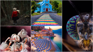 Who won our October 'Colour' photo comp?