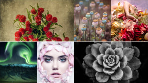 Who won our March 'Beauty' photo competition?
