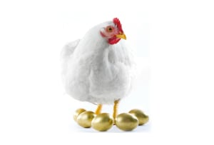 Manufacturing change