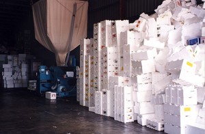 Does EPS have a future?