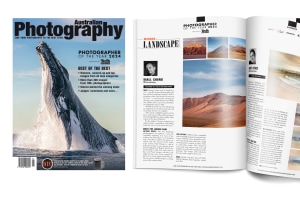 Special offer: Get a 12-month AP mag subscription for just $38!